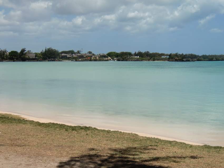 gardiennage gratuit maison animaux par retraités français on Aster Vender
