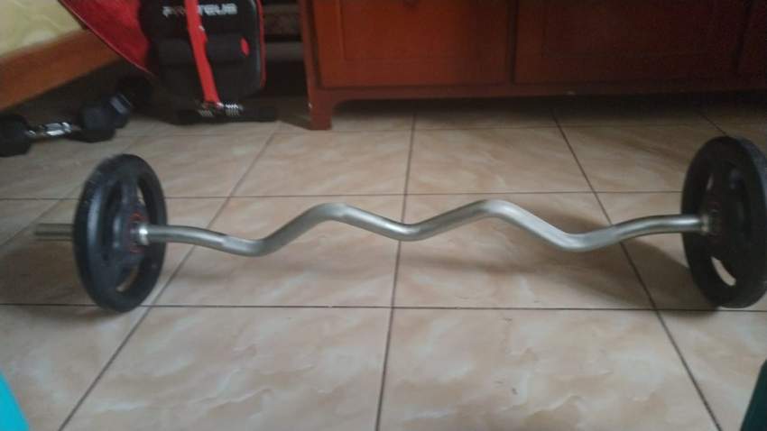 Curl barbel 20 kg