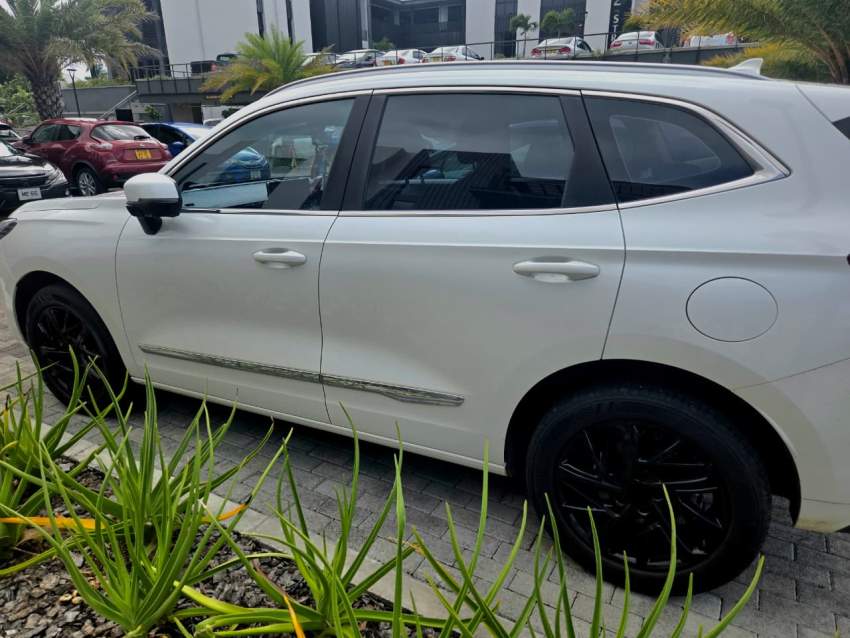 HAVAL JOLION – SUPER LUXURY 2023 - 2 - Luxury Cars  on Aster Vender