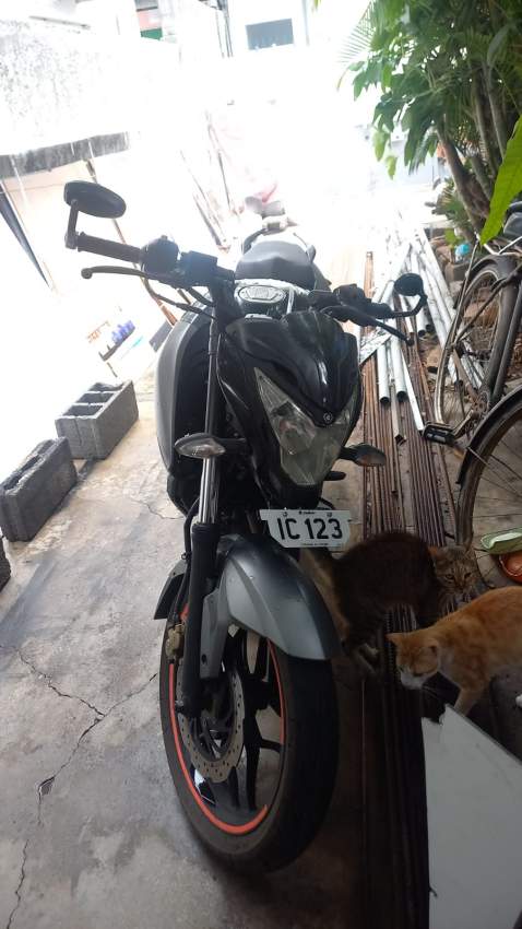 PULSAR NS200 Serie AE - 1 - Sports Bike  on Aster Vender