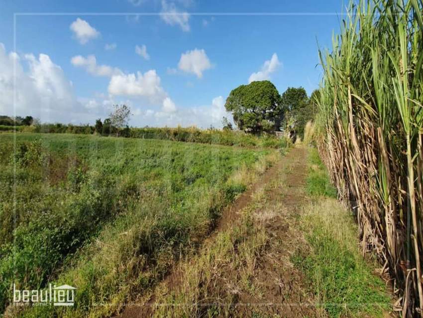 ️Agricultural land of 1 arpent is for sale in Poudre D'or Hamlet - 1 - Land  on Aster Vender