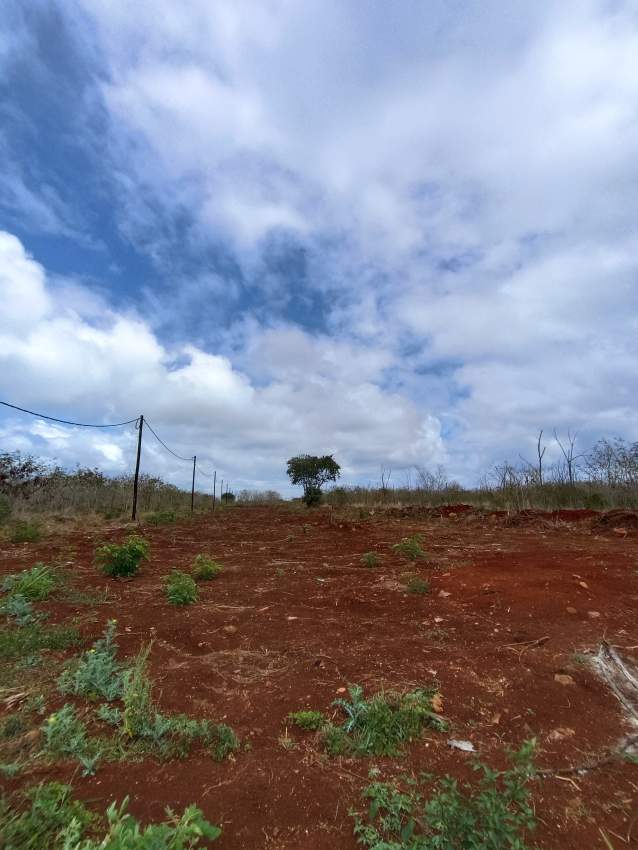 Land for Sale – Balaclava - 1 - Land  on Aster Vender