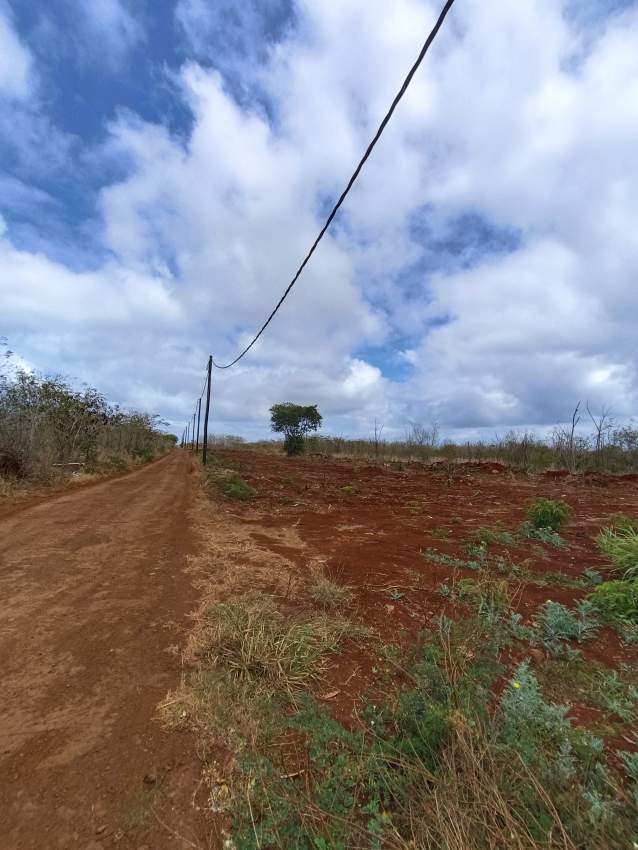 Land for Sale – Balaclava