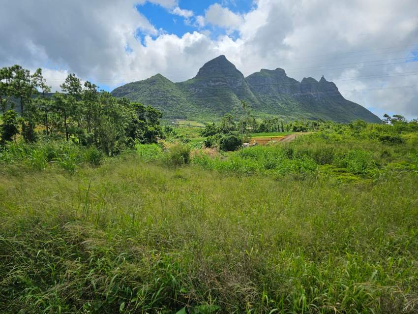 Agricultural Land for Sale – L’Avenir, St Pierre - 2 - Land  on Aster Vender