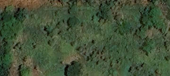 land - 1  on Aster Vender