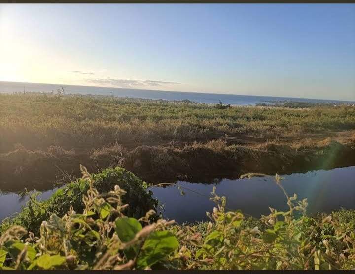 land - 0  on Aster Vender