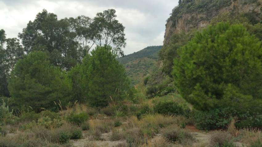 land - 0  on Aster Vender