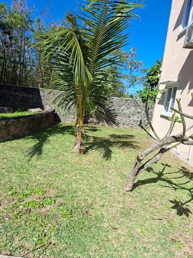 For Rent - Appartment - 120 m² - Grand Gaube - 10  on Aster Vender