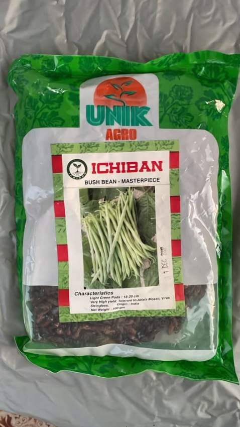 ICHIBAN FRENCH BEAN SEEDS 500G