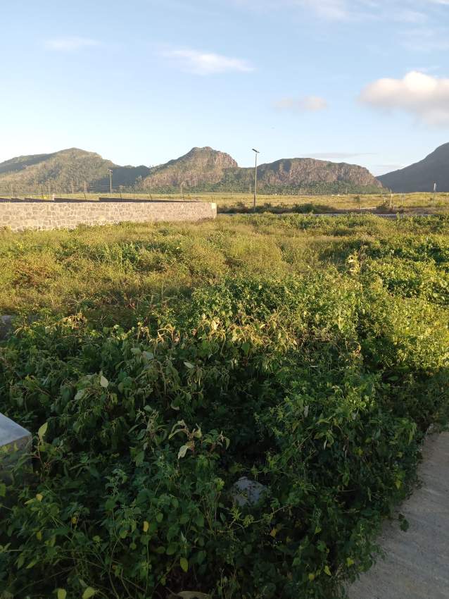 9 perches  Morcellement Pierrefonds - 2 - Land  on Aster Vender