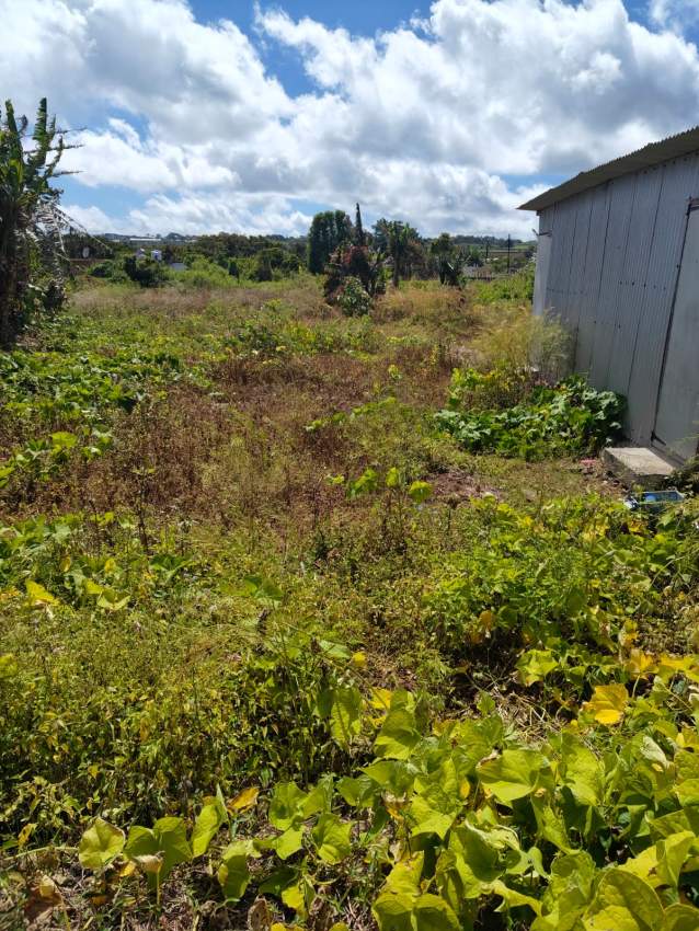 8 perches La Marie - 0 - Land  on Aster Vender