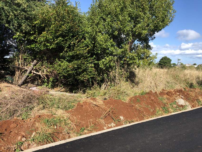 Land for sale triolet on Aster Vender