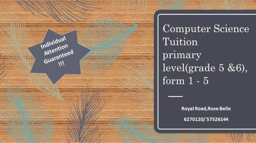 Computer science for primary and secondary pupils, Introduction to IT  - 0 - Computing  on Aster Vender