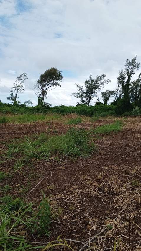 For Sale 14 perches land Riambel - 1 - Land  on Aster Vender