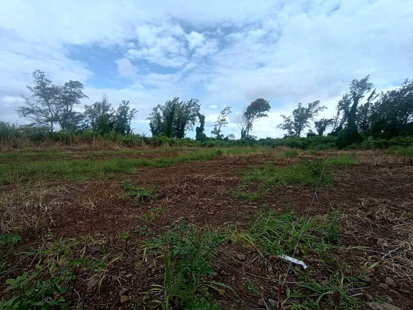 For Sale 14 perches land Riambel - 0 - Land  on Aster Vender