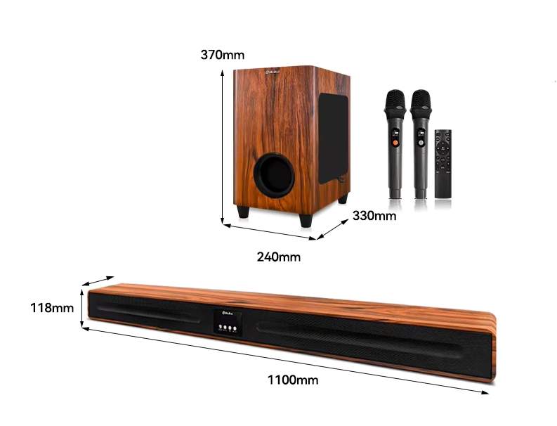 HOME CINEMA & KARAOKE SYSTEM 120W RMS | 2 Wireless Microphones