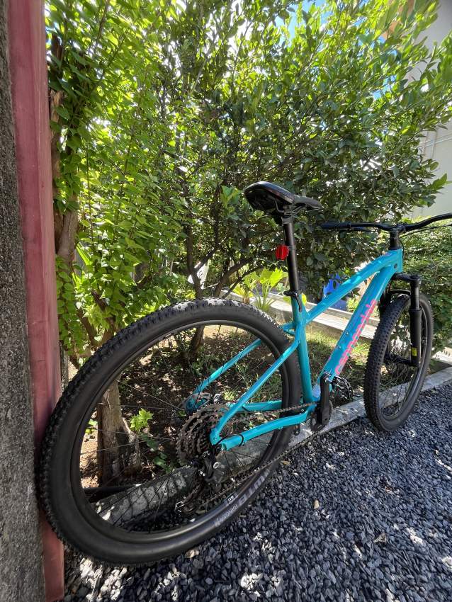 CANNONDALE - 1 - Mountain bicycles  on Aster Vender