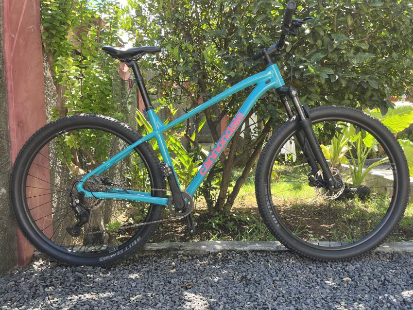 CANNONDALE on Aster Vender