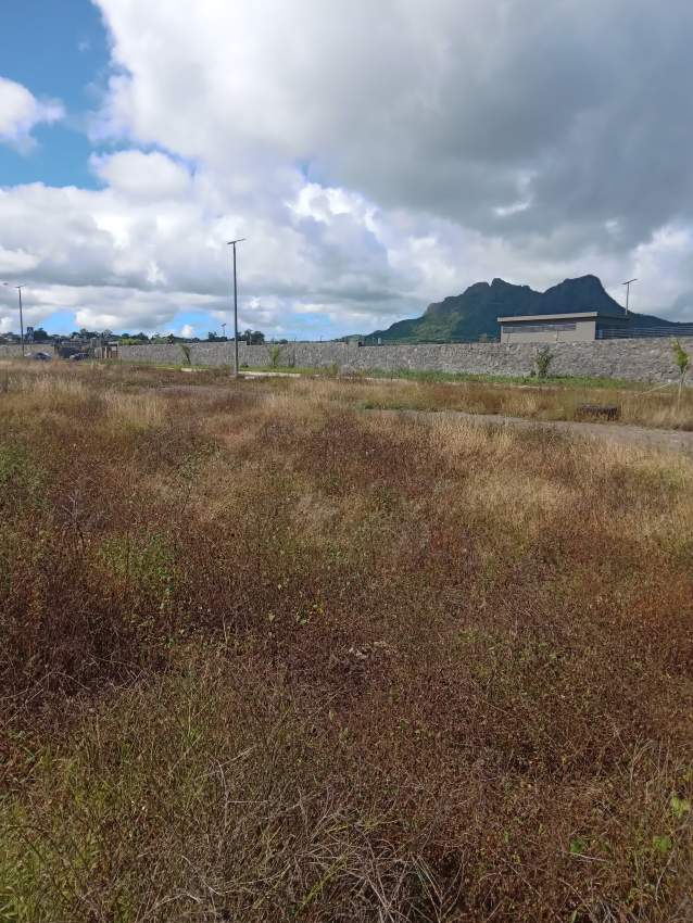 11 perches Morcellement Pierrefonds Palma- Beau Songes - 0 - Land  on Aster Vender