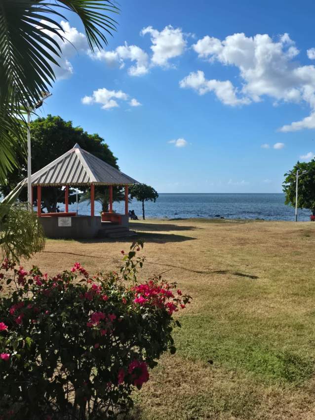 House - 2 - House  on Aster Vender