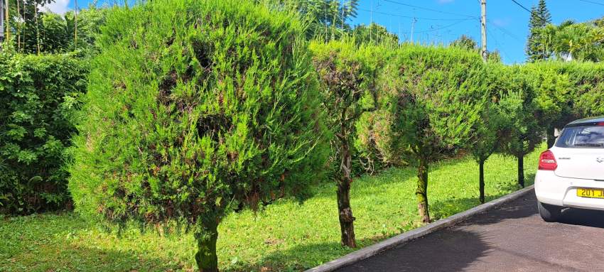 Vente Maison vacoas - 4 - House  on Aster Vender