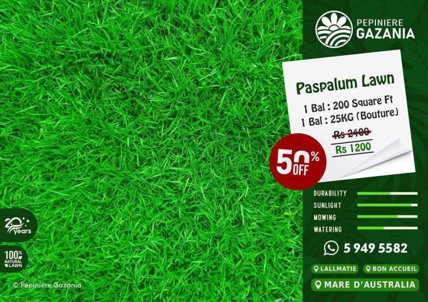 50% Off - Gazon Natural - 1 - Garden Decorations  on Aster Vender