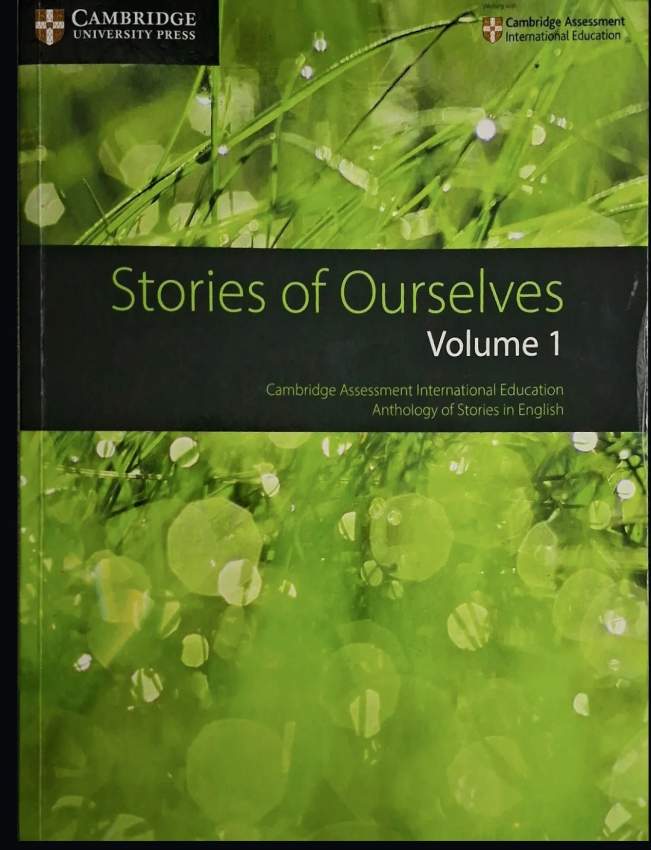 Stories of Ourselves: Volume 1