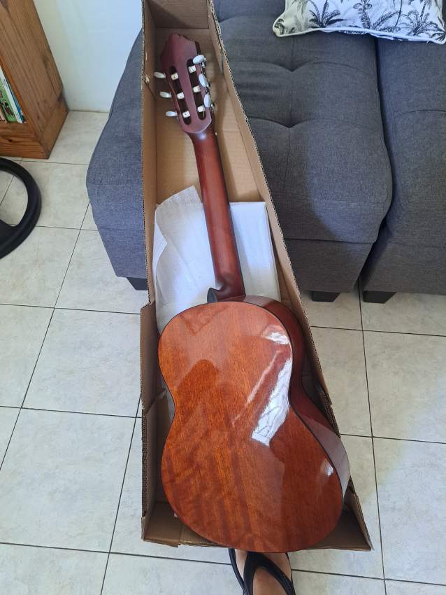 Classic Guitar - 1 - Accoustic guitar  on Aster Vender