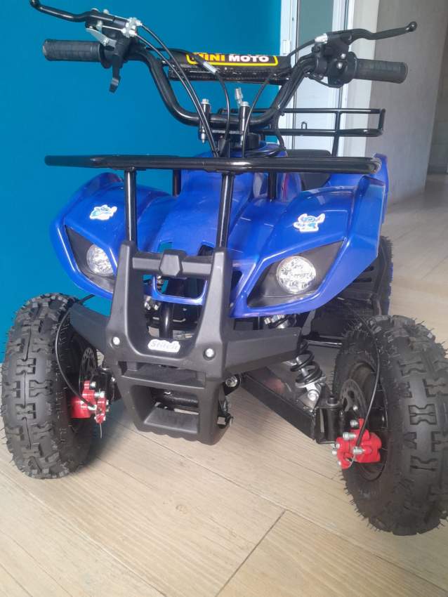 Kids Quad Bike for Sale – 2026 - 2 - Quad bikes  on Aster Vender