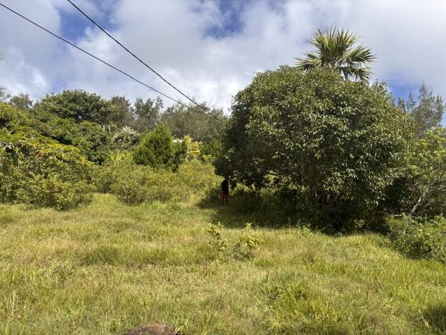 TERRAIN EN VENTE - BRÛLÉ (TRÈFLES), RODRIGUES - 2 - Land  on Aster Vender