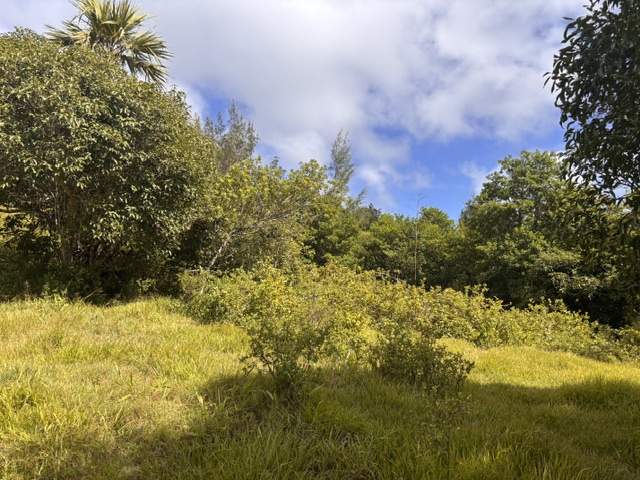 TERRAIN EN VENTE - BRÛLÉ (TRÈFLES), RODRIGUES - 4 - Land  on Aster Vender