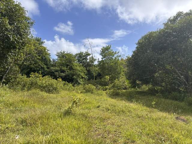 TERRAIN EN VENTE - BRÛLÉ (TRÈFLES), RODRIGUES - 3 - Land  on Aster Vender