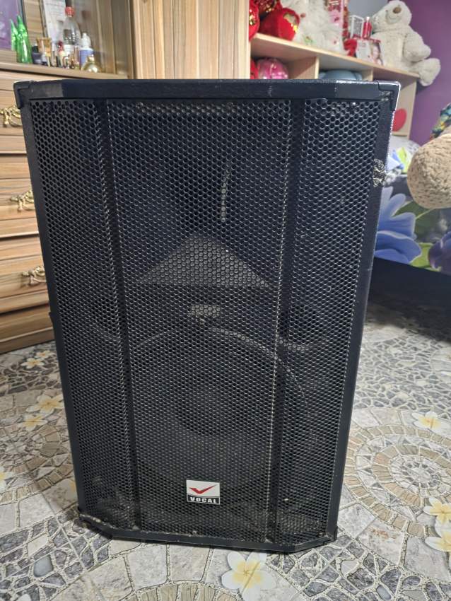2x vocal speaker on Aster Vender