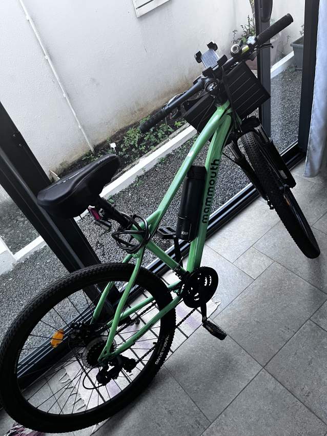 Mammouth bike green - 1 - Road bicycles  on Aster Vender