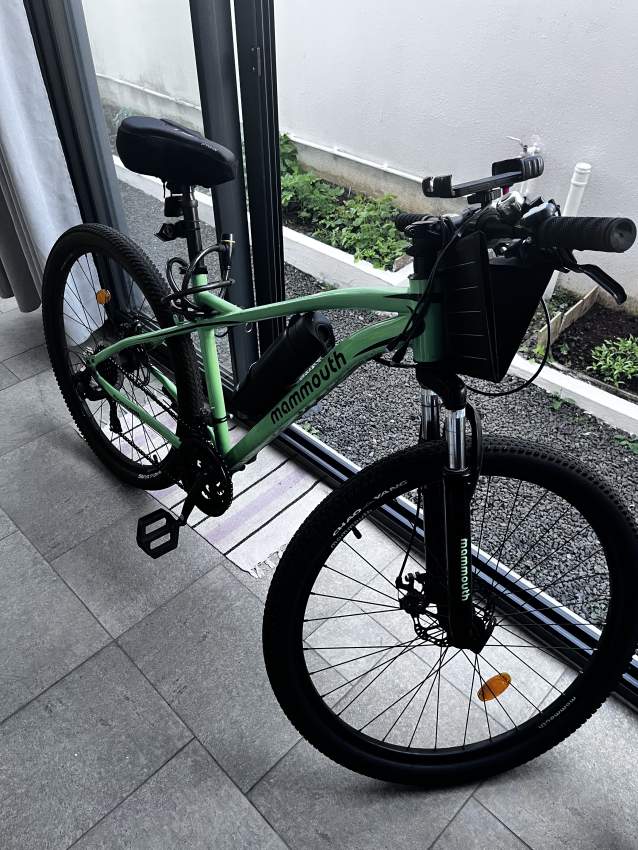 Mammouth bike green on Aster Vender