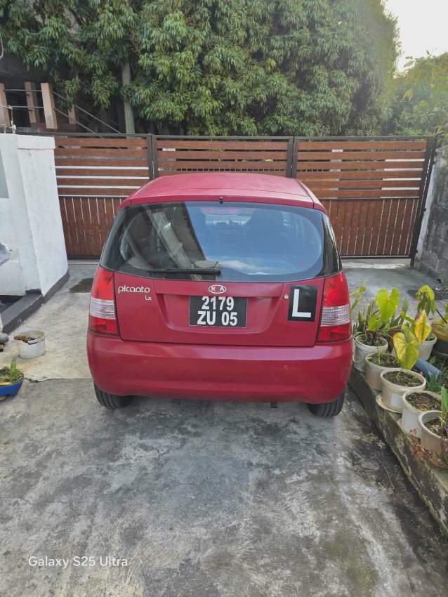 KIA PICANTO - 7 - Compact cars  on Aster Vender