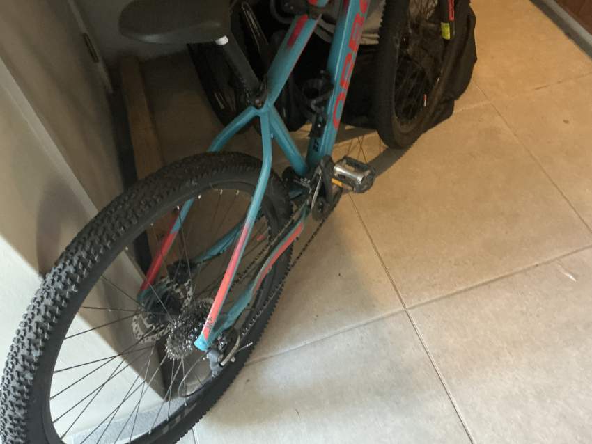 Mountain Bike - Orbea - 1 - Mountain bicycles  on Aster Vender