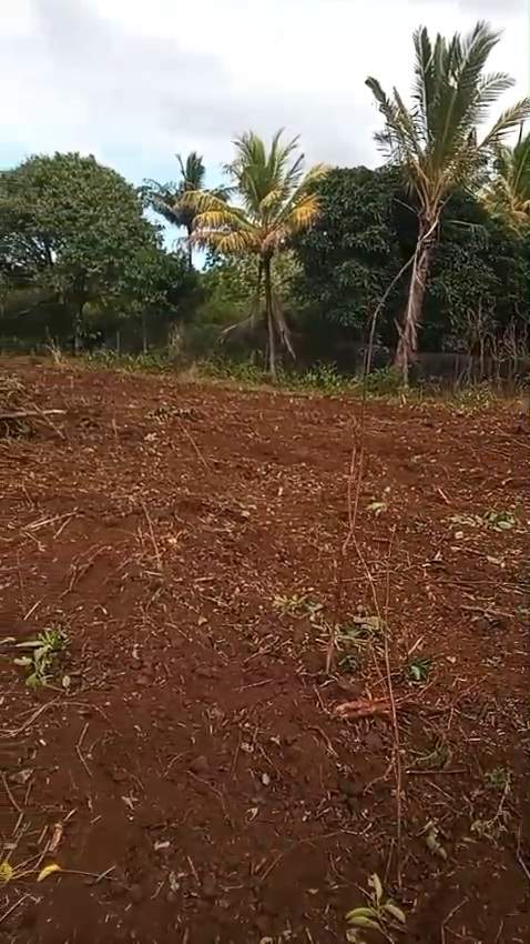 Terrain agricole, Deux Bras, 1 arpent 11 perches - 0 - Land  on Aster Vender