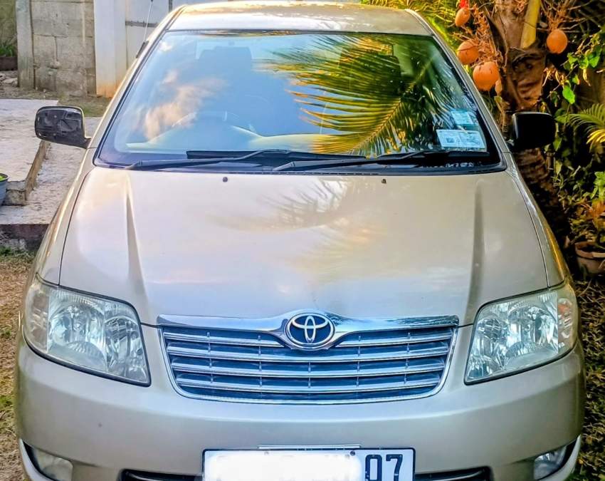 Toyota Corolla NZE - 2007 - 3 - Luxury Cars  on Aster Vender