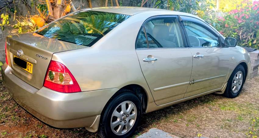 Toyota Corolla NZE - 2007 - 4 - Luxury Cars  on Aster Vender