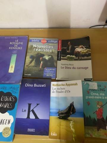 📚📢 VENTE DE LIVRES D'OCCASION ! 🇲🇺 lycee/college - 1 - Technical literature  on Aster Vender
