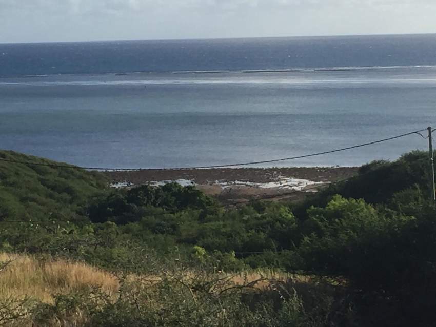 Maison/chambre à louer à Rodrigues  - 5 - Apartments  on Aster Vender