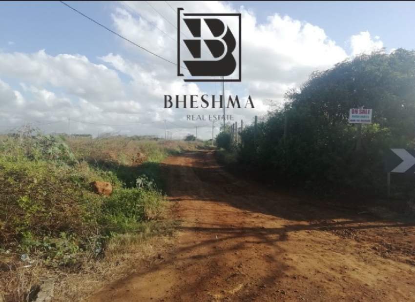Agricultural plot at Ile D'Ambre 1 arpent 4 perches @ Rs 900,000.  - 9 - Land  on Aster Vender