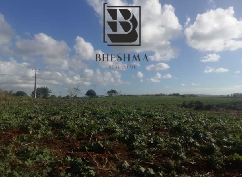 Agricultural plot at Ile D'Ambre 1 arpent 4 perches @ Rs 900,000.  - 3 - Land  on Aster Vender