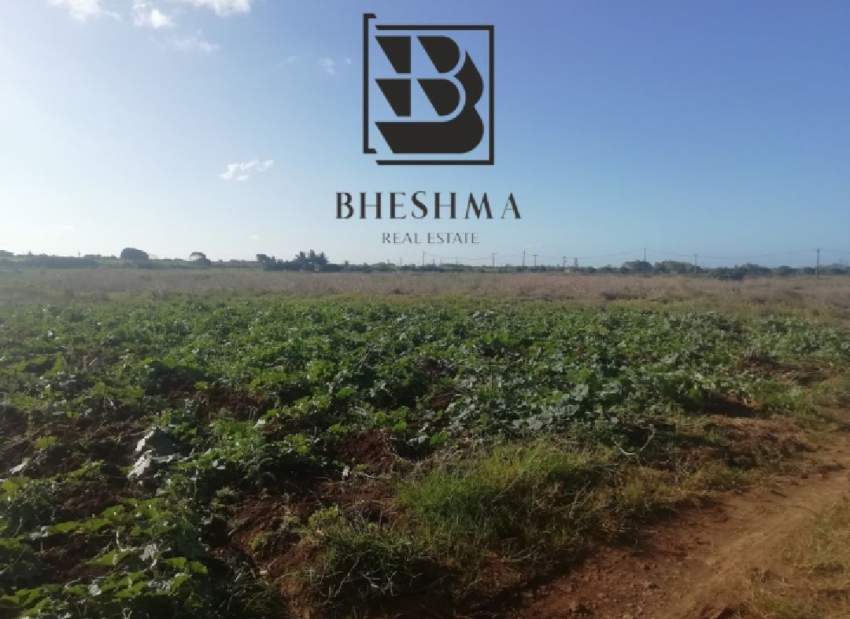 Agricultural plot at Ile D'Ambre 1 arpent 4 perches @ Rs 900,000.  - 7 - Land  on Aster Vender
