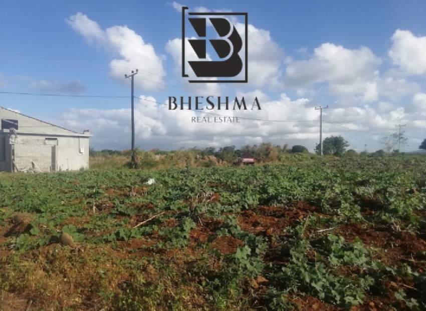 Agricultural plot at Ile D'Ambre 1 arpent 4 perches @ Rs 900,000.  - 5 - Land  on Aster Vender