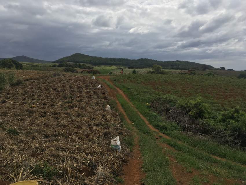 Agricultural land - 3 - Land  on Aster Vender