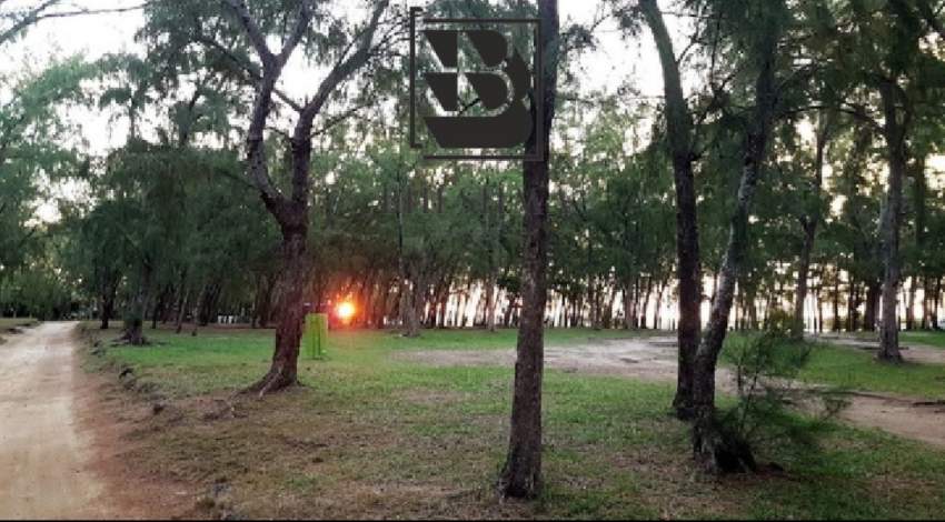 12.98 perches Grand Gaube 5 mins seaside  - 6 - Land  on Aster Vender