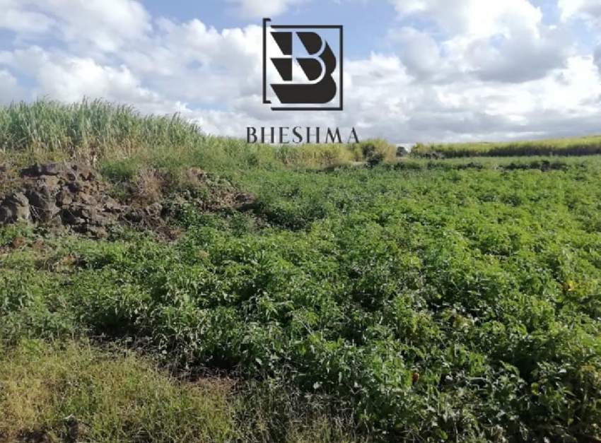 1 arpent 87 perches agricultural/industrial in Laventure  - 7 - Land  on Aster Vender