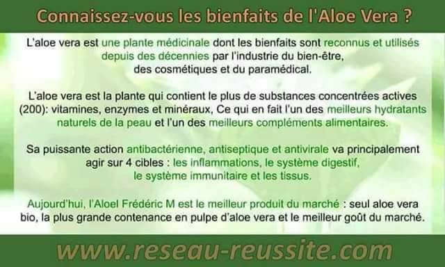 Aloel best detox for your body!! - 4 - Other Body Care Products  on Aster Vender